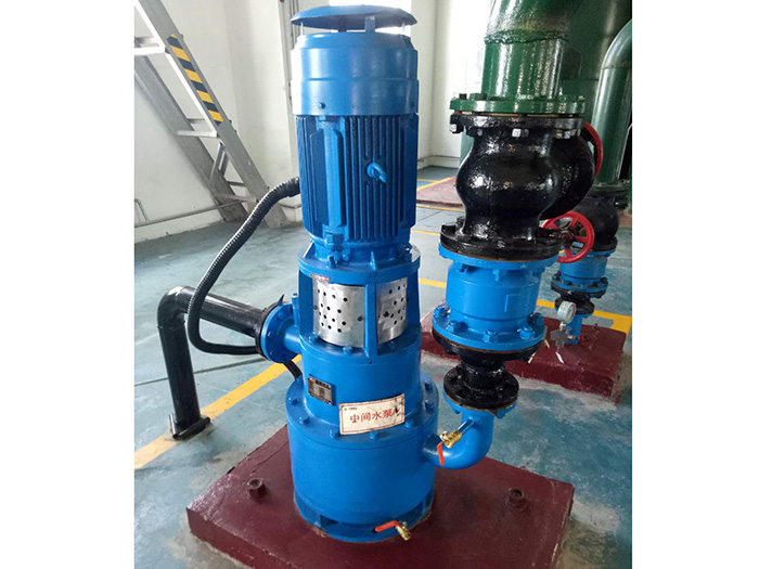 國(guó)電蘭州范坪電廠專利結(jié)構(gòu)無泄漏自吸泵